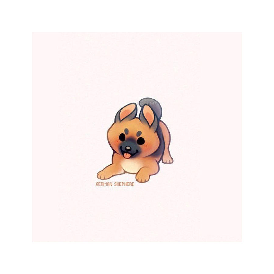 那尔撒斯