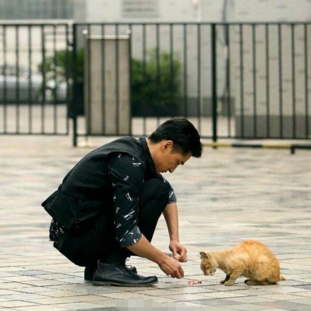 临江仙