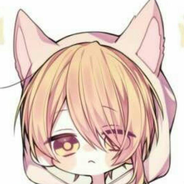 하얀늑대