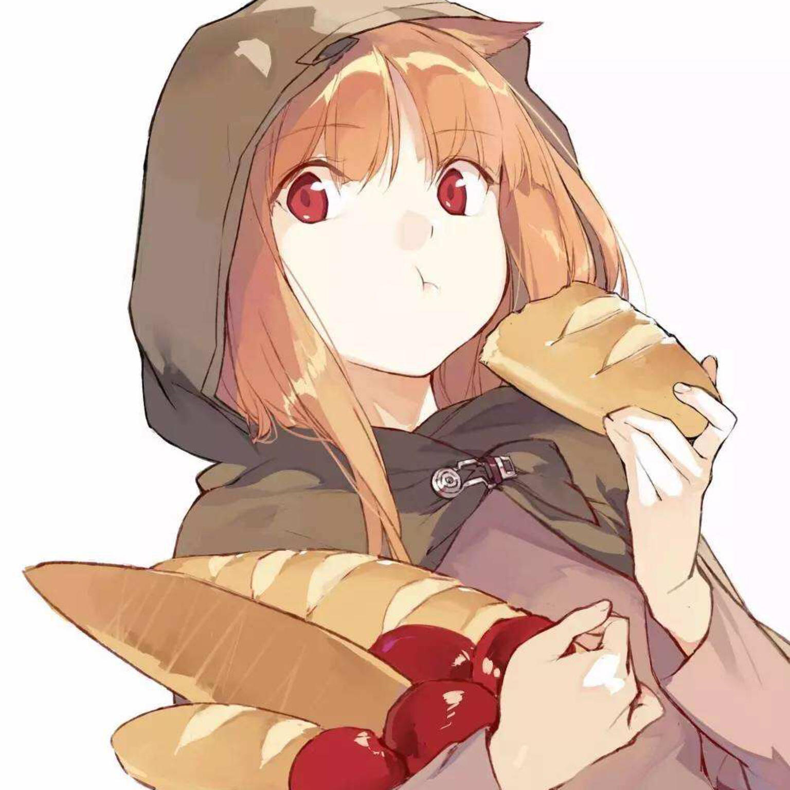贤狼Holo