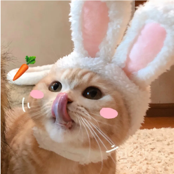 泡泡