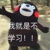 云玩家
