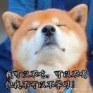 虾米卷