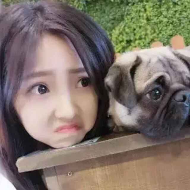 山有木兮木有枝。