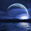 月光下的阴影🌙