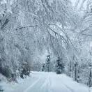 Winter（暮冬）