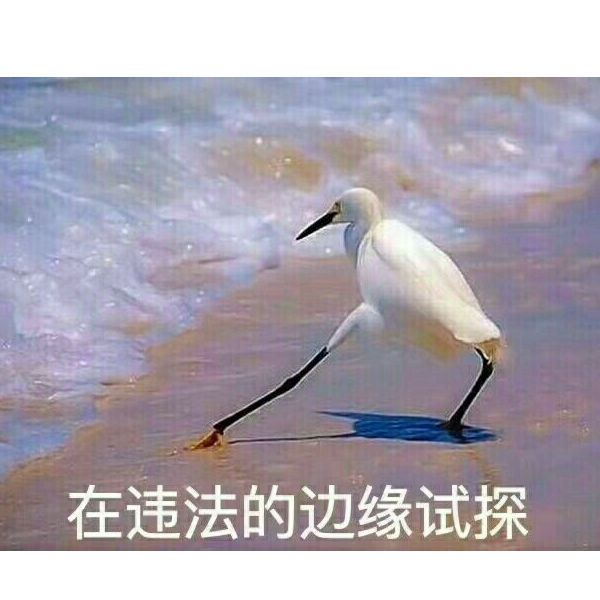 王谋某