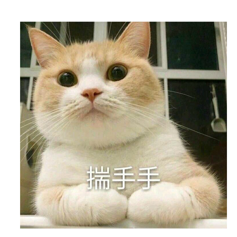 爱吃酸菜