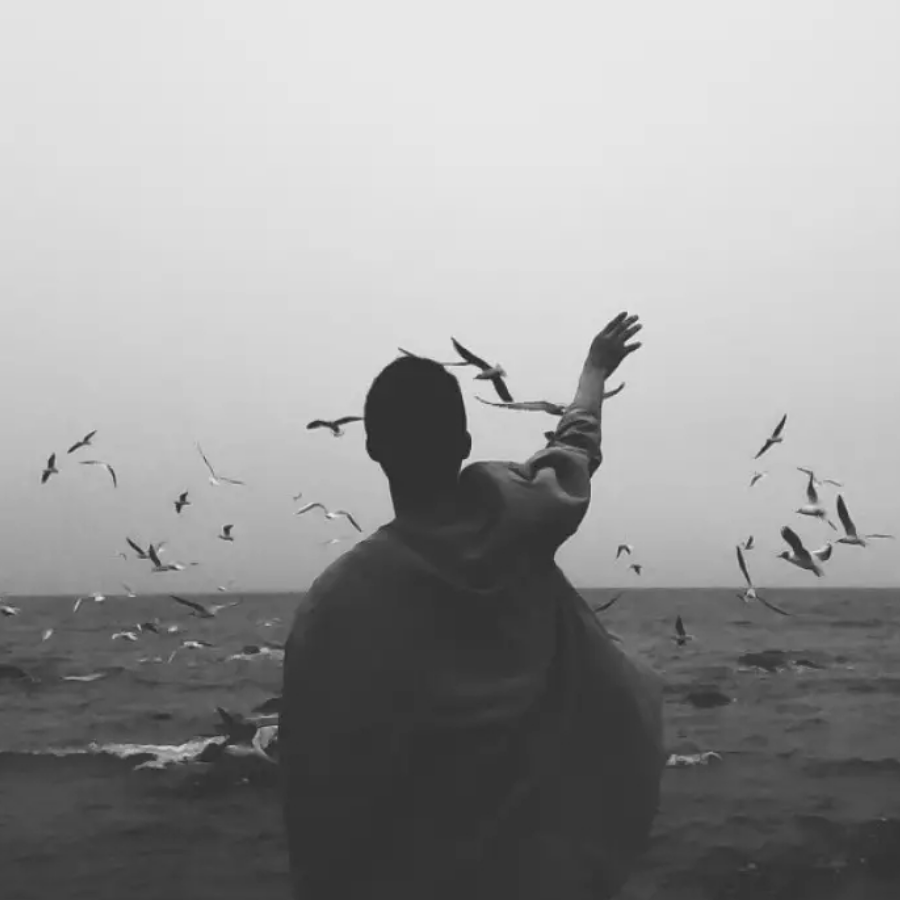 丨敏夫丨
