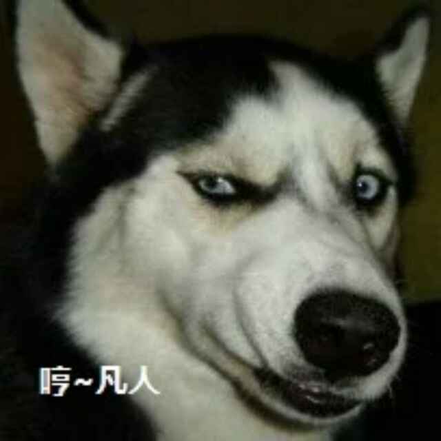 我的天空