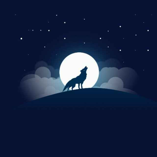 寂寞的和尚