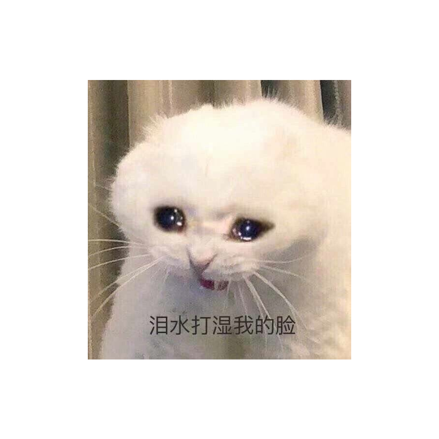 折耳喵呀喵