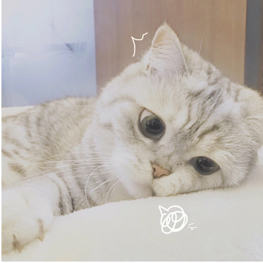 似古人