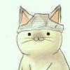 User2687555