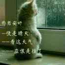 缥缈羽辰