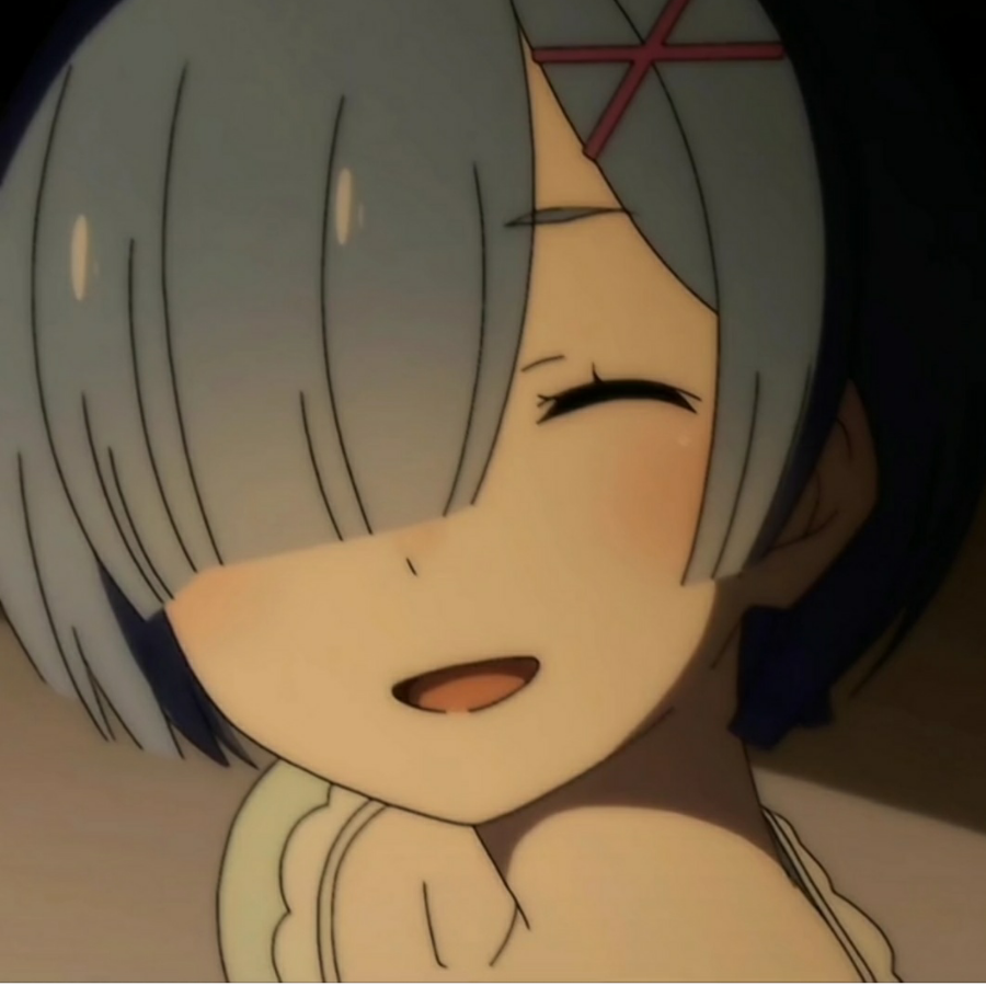 蕾姆私の妻です