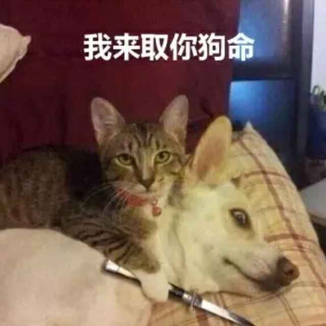 黑名单