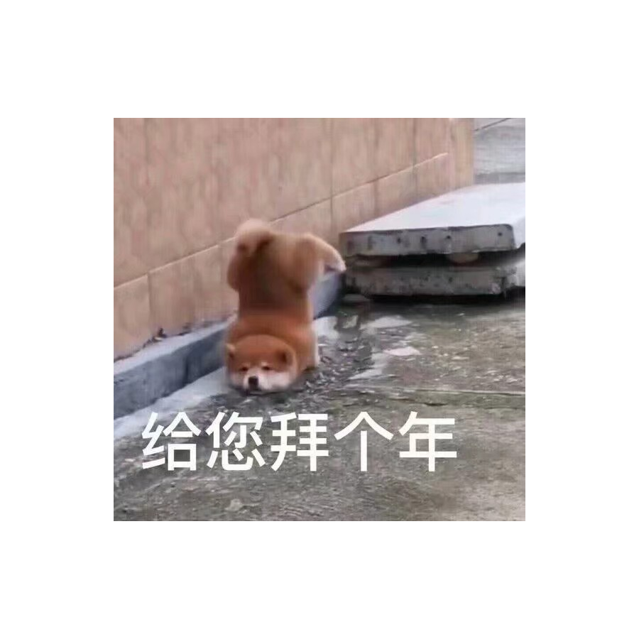 狛枝凪斗