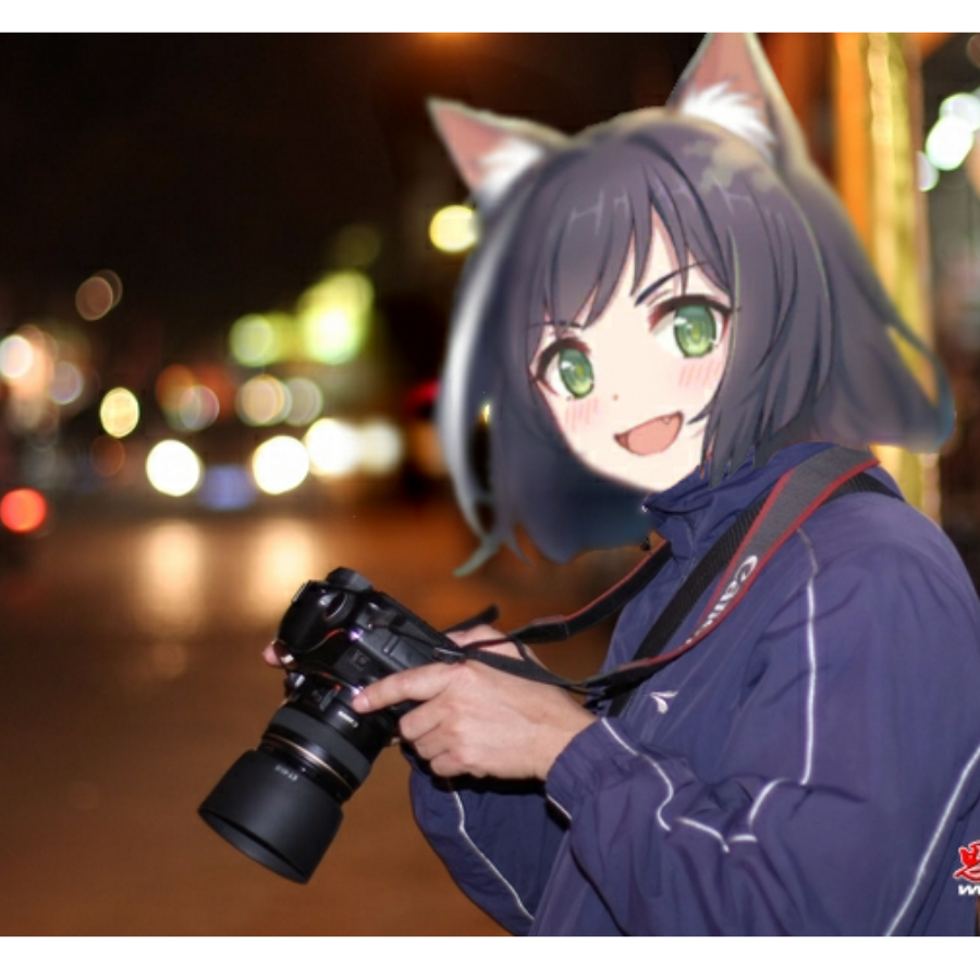 一条柴之鱼
