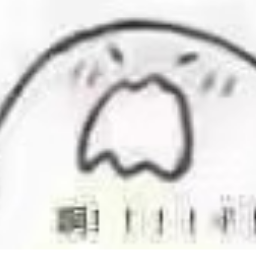 阮慎之
