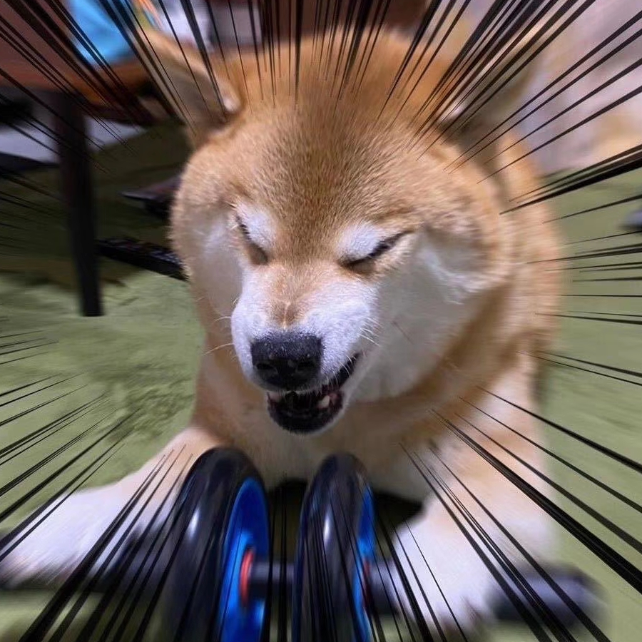 柴柴