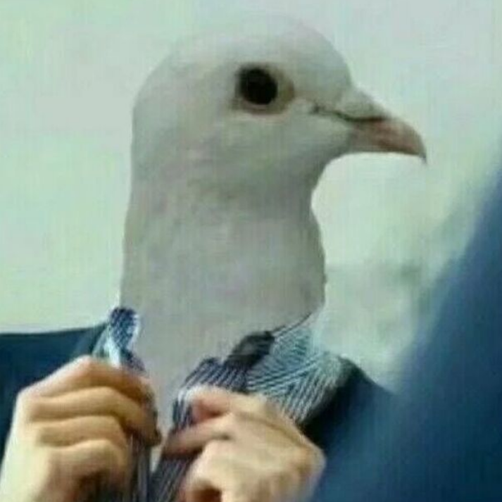 凌戈