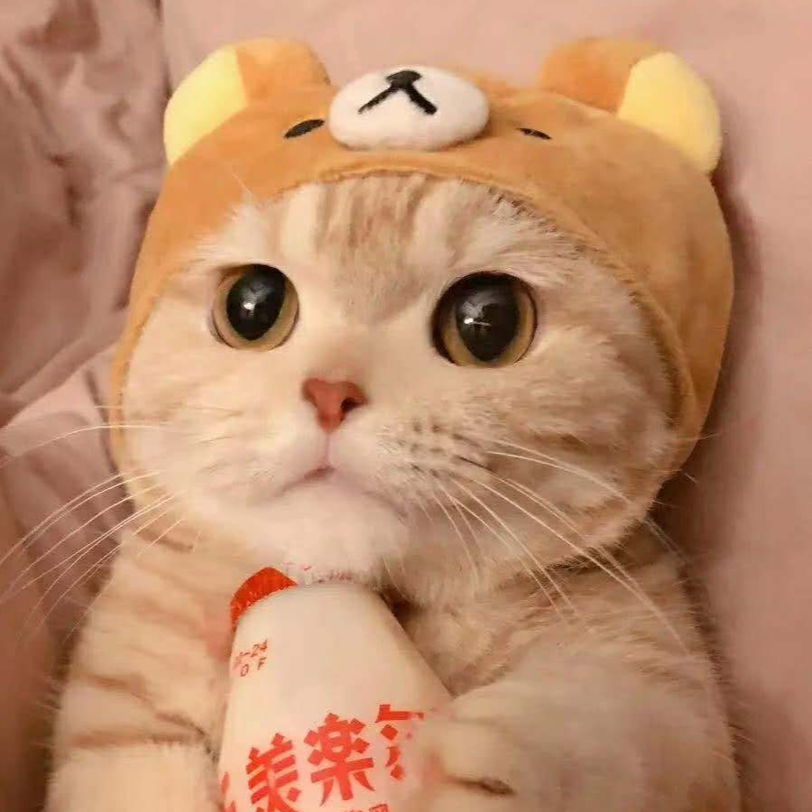 大橘已定