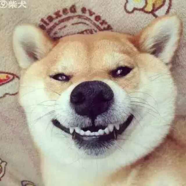 鼹