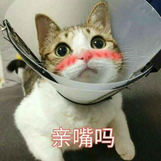 江陵