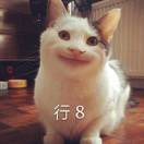 郑同学