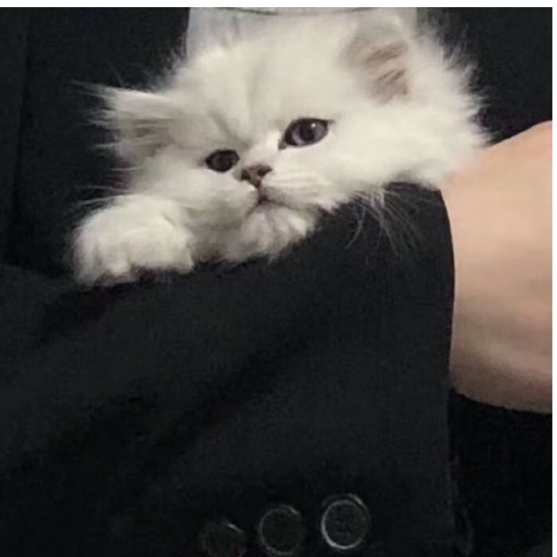 顺