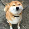 豆子