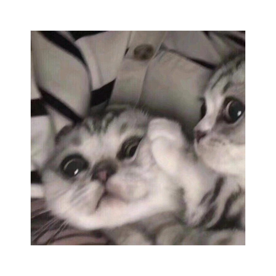 不得开心颜