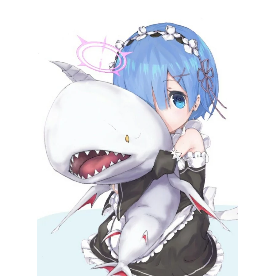 凯特猫