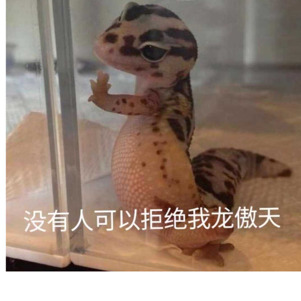 看饿了