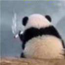 烟已无味