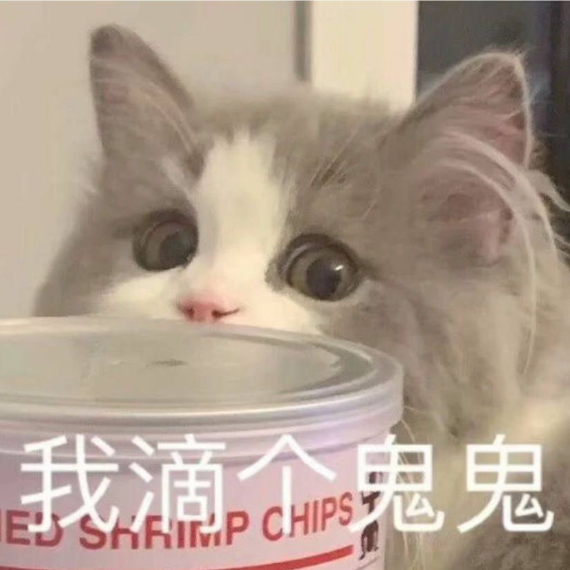 张晓楠
