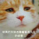 哩汁