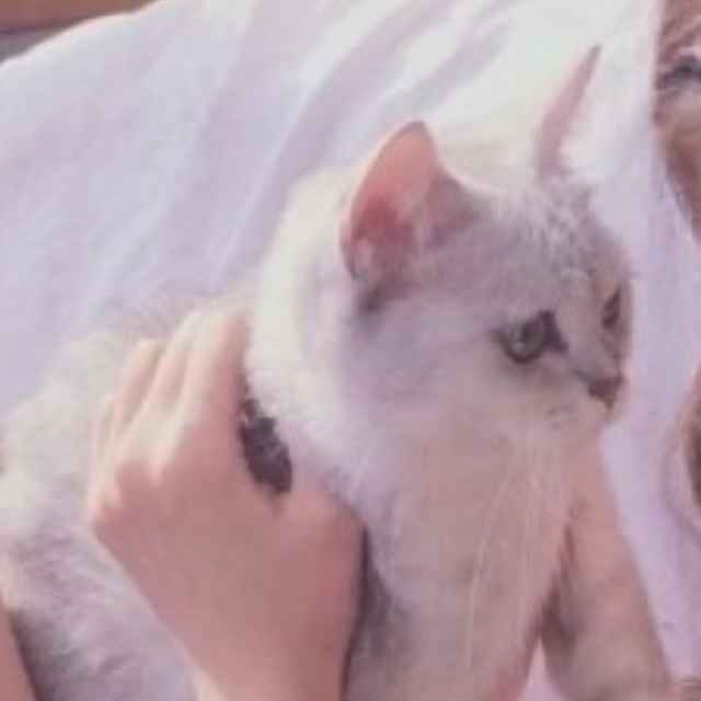妳是我的小魚幹嗎