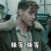 潘猪