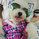 童话二分之一