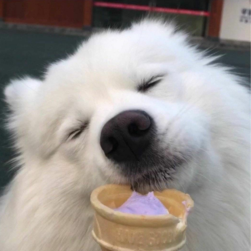 托马斯回旋踢你三脚