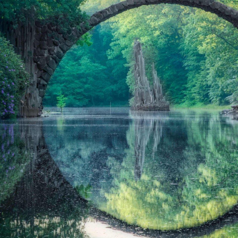 又年花开