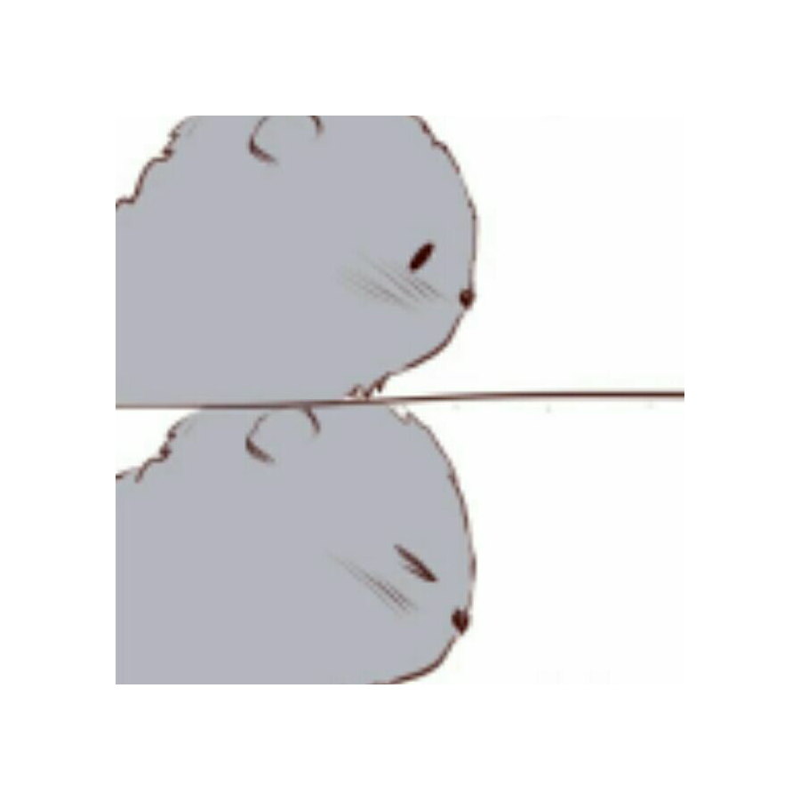 散散