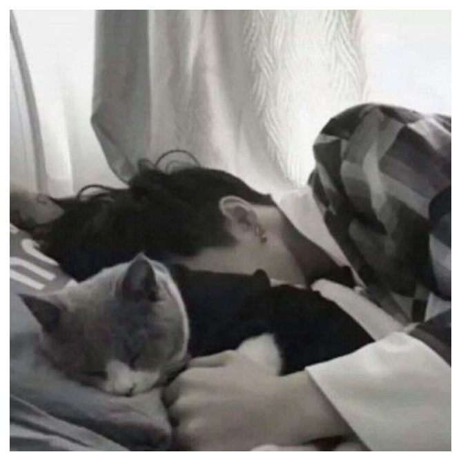 布朗