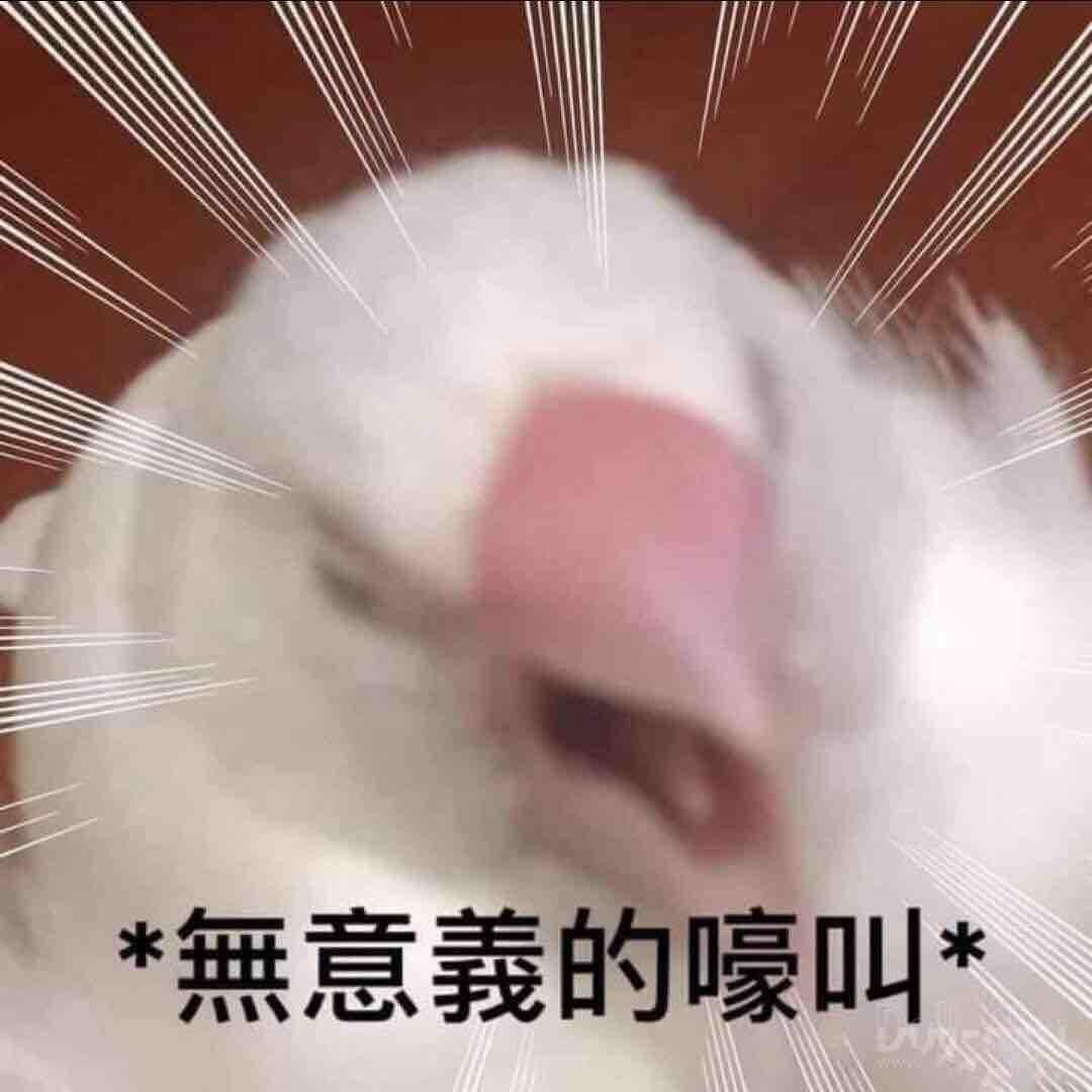 渣是也