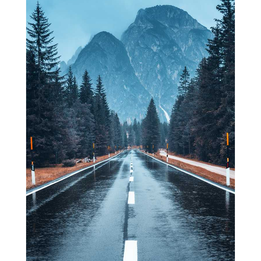 一桥风雨一伞开