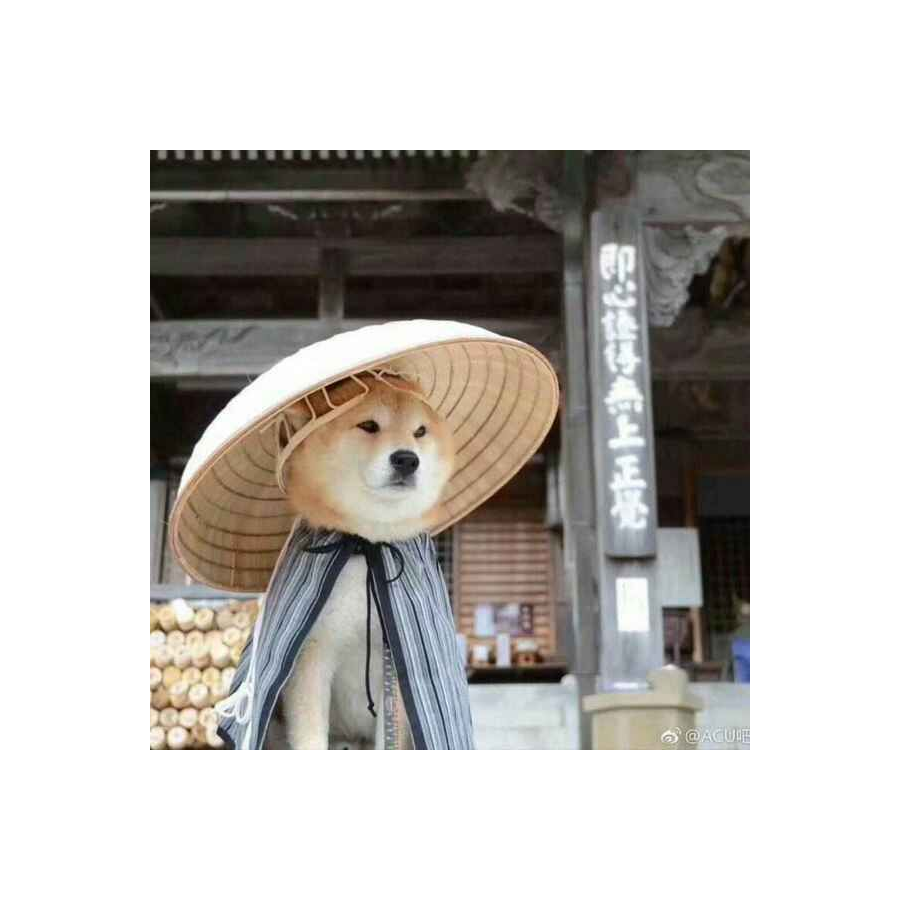 新咸的水