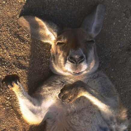 Norton🌊🌊🌊🌊