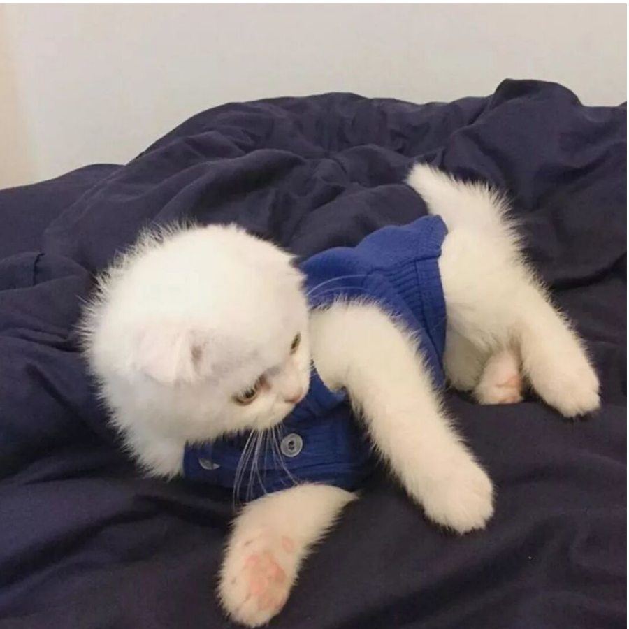 LT